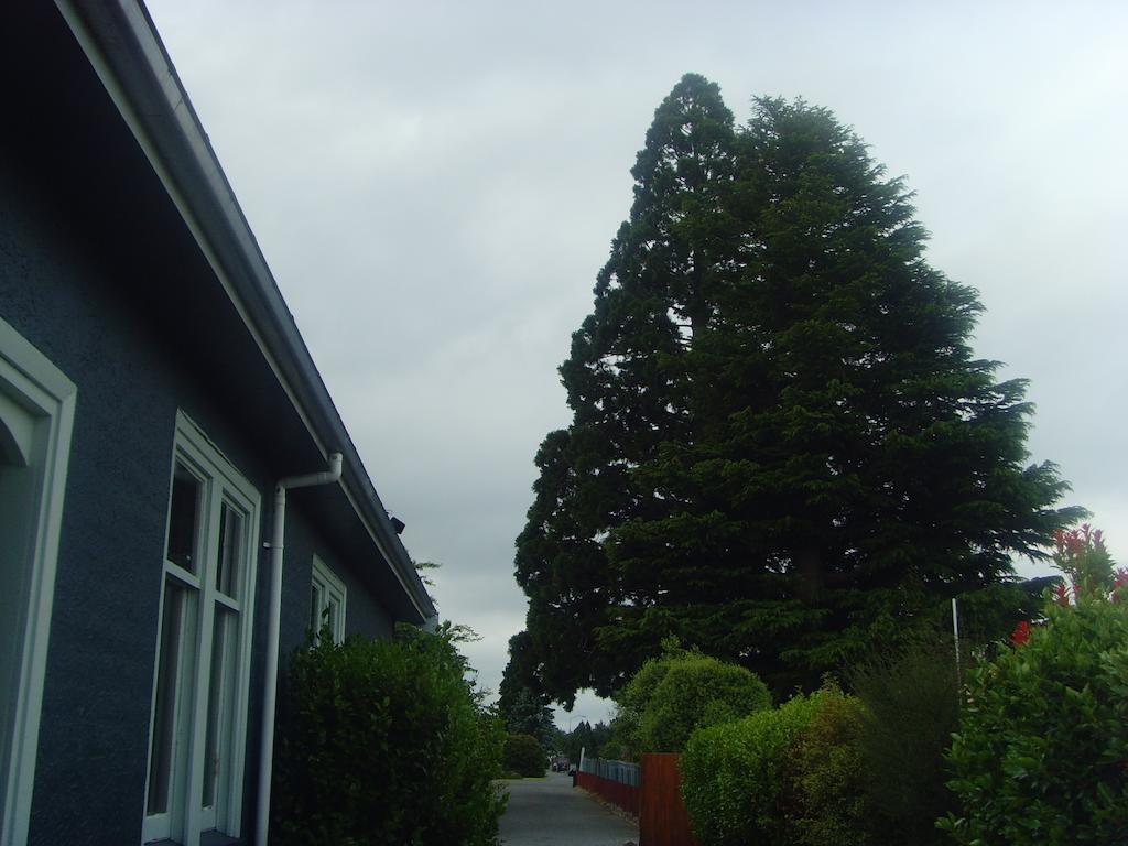 Big Tree Lodge Methven Exteriér fotografie